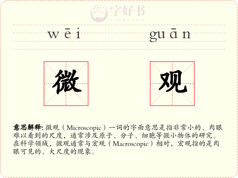 微观