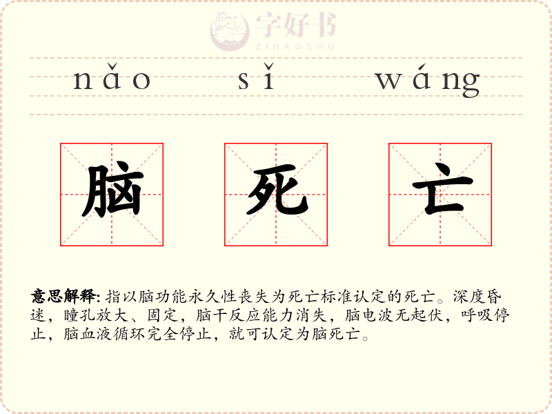 脑死亡