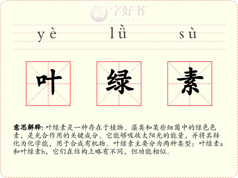 叶绿素