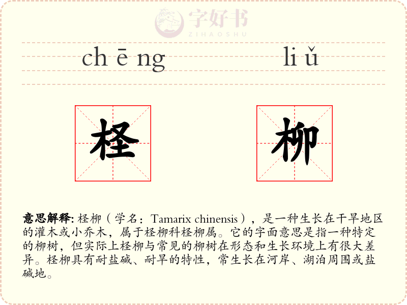 柽柳