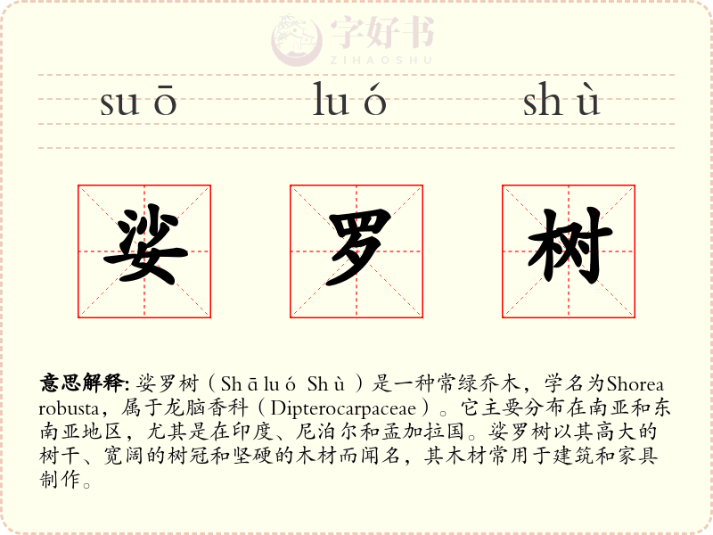 娑罗树