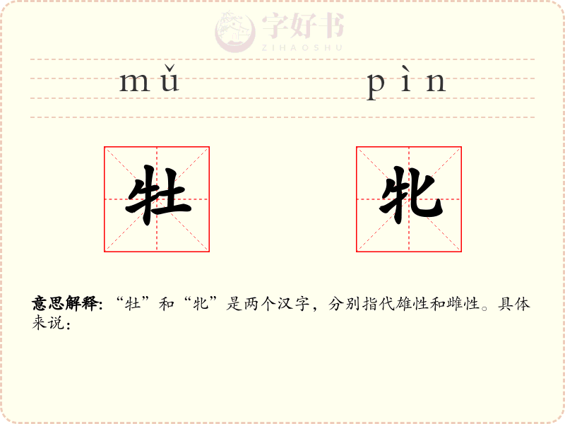 牡牝