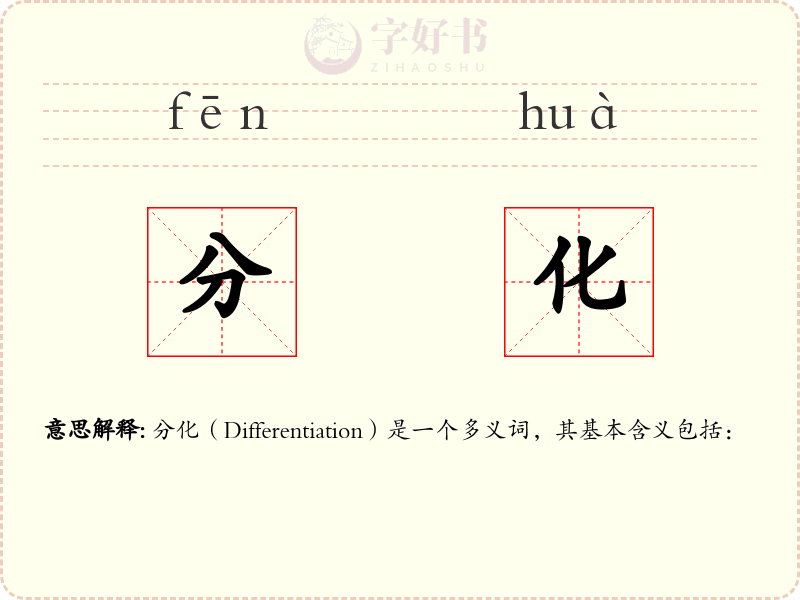分化
