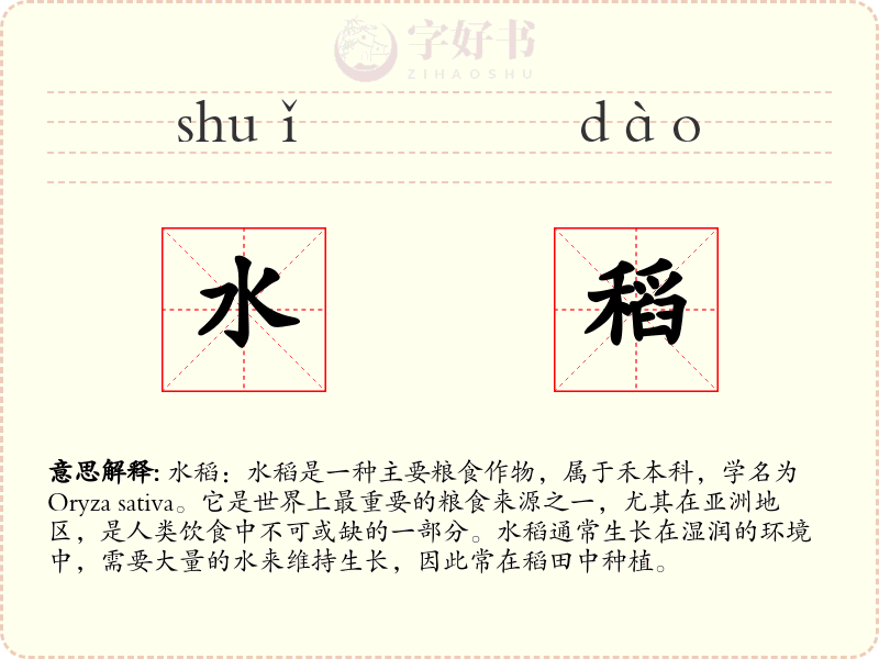 水稻