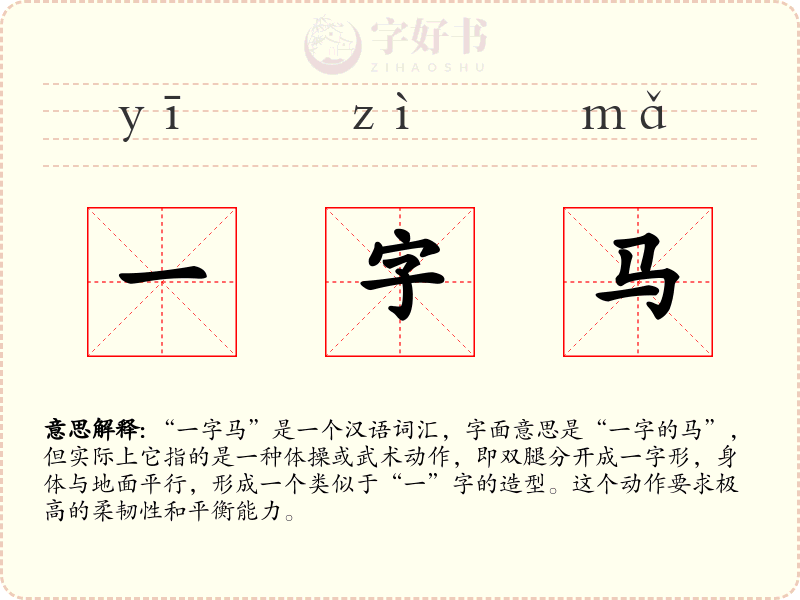 一字马