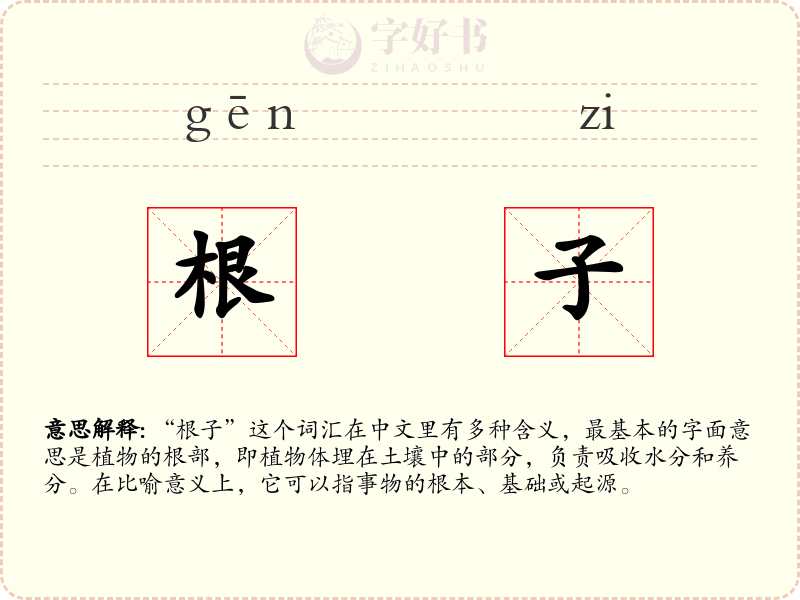 根子