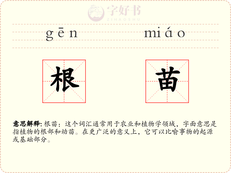 根苗