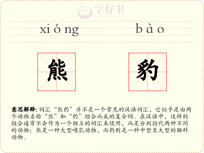 熊豹