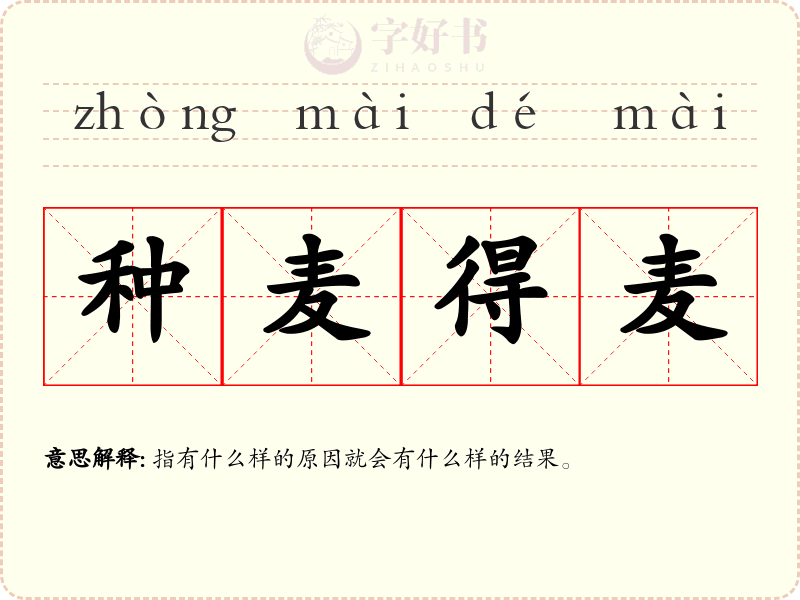 种麦得麦