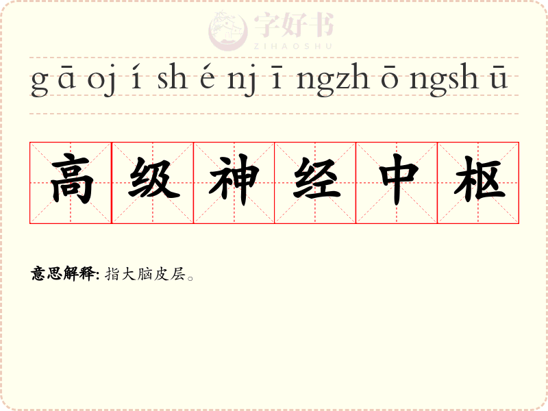 高级神经中枢