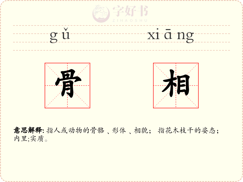骨相