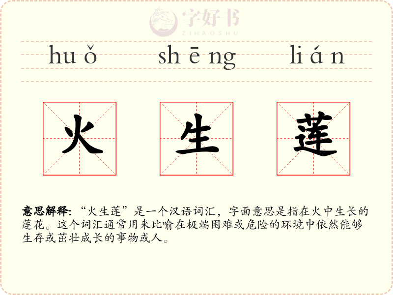 火生莲