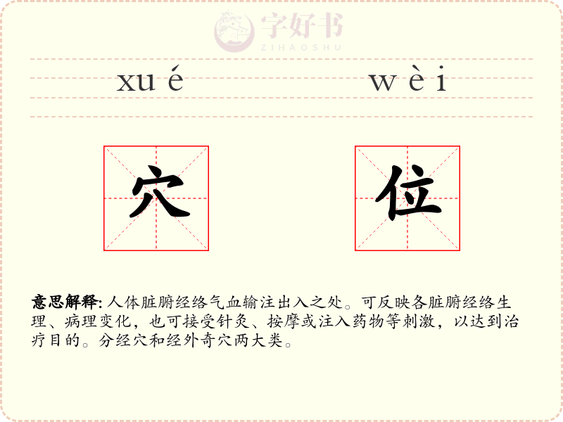 穴位