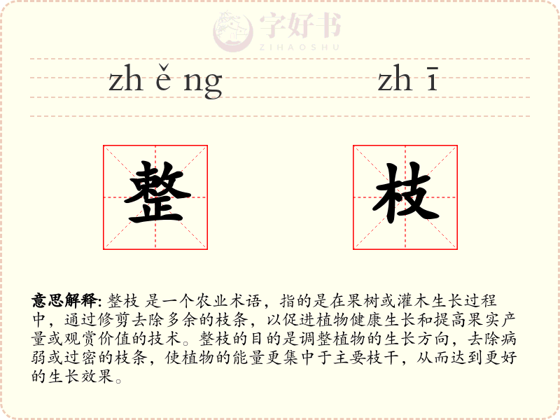 整枝