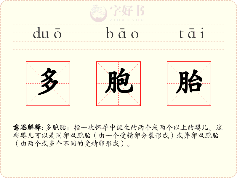 多胞胎
