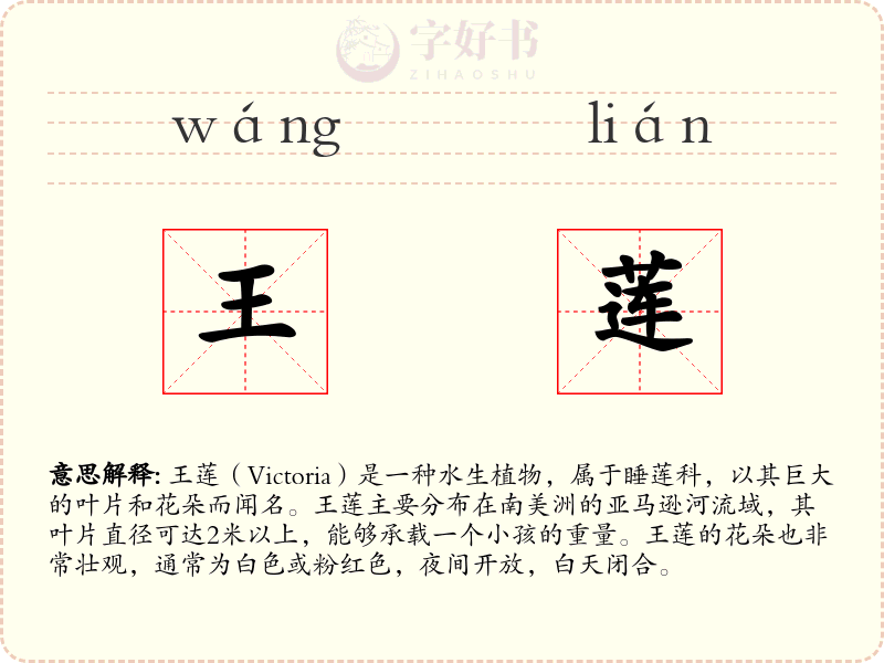 王莲