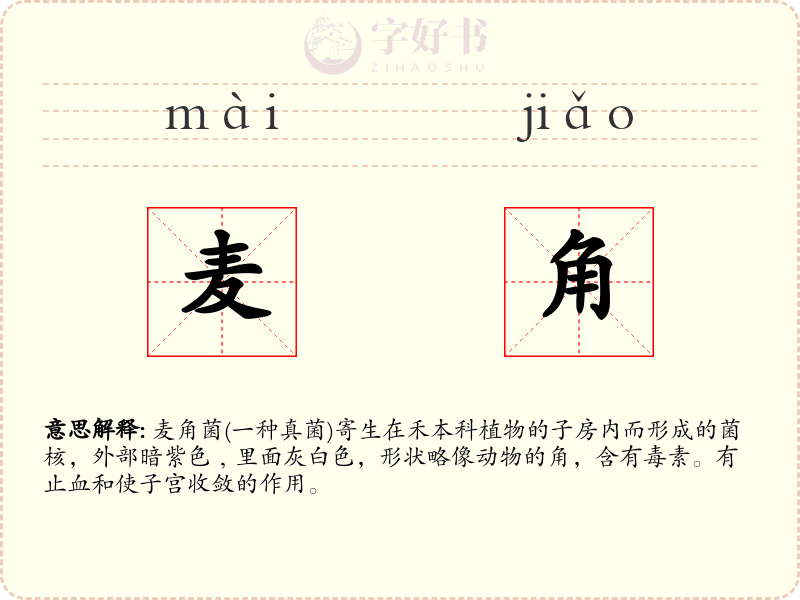 麦角