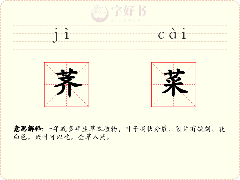 荠菜
