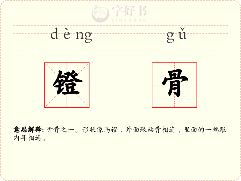 镫骨