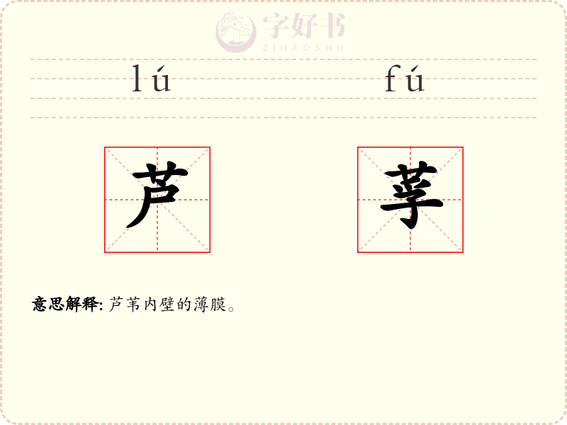 芦莩