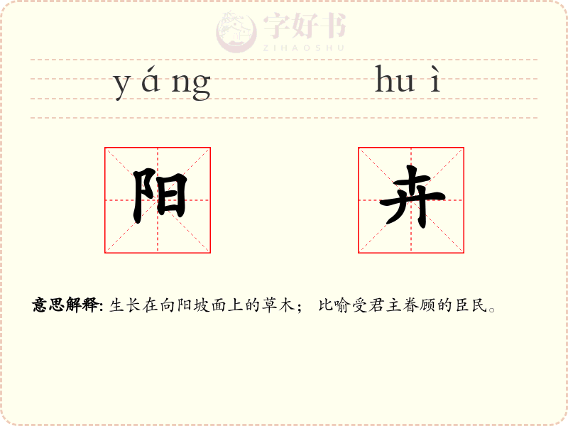阳卉