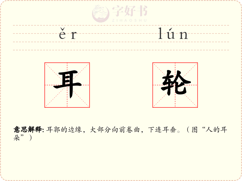 耳轮