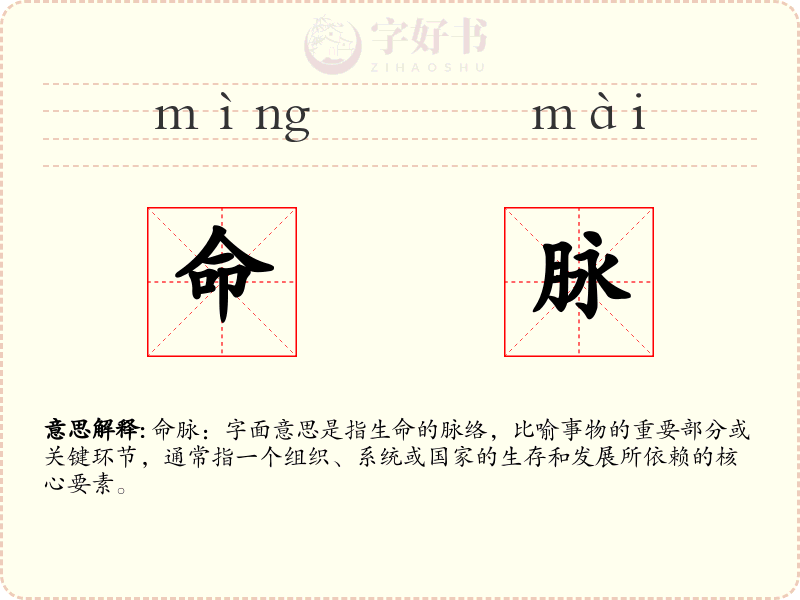 命脉