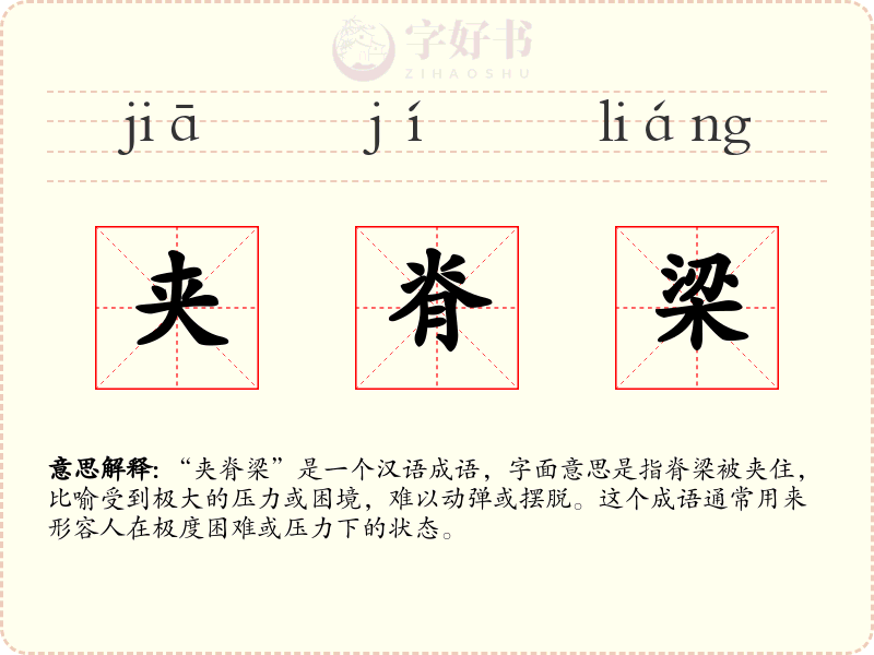 夹脊梁