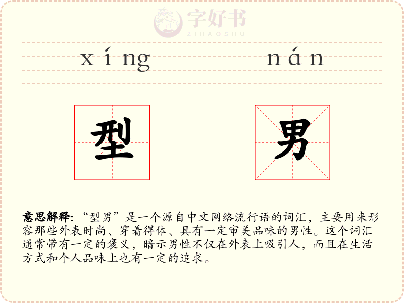 型男
