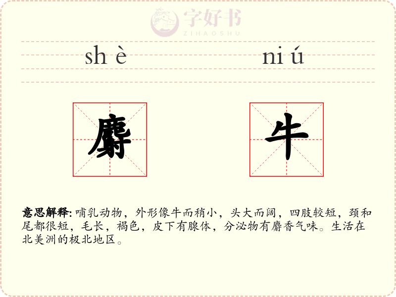 麝牛