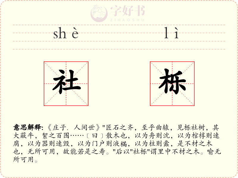 社栎