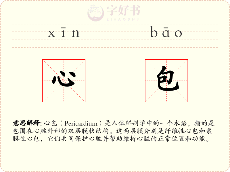 心包
