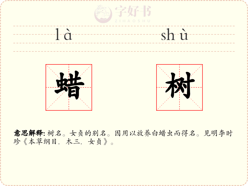 蜡树