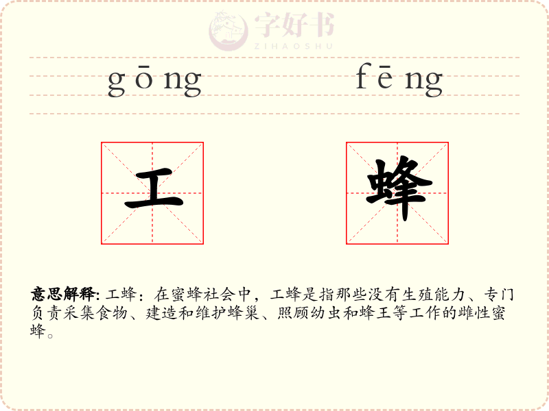 工蜂