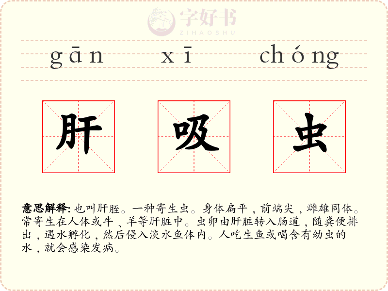 肝吸虫