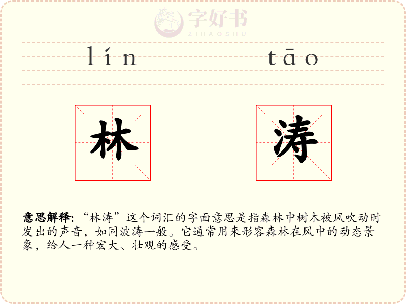 林涛