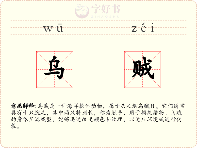 乌贼
