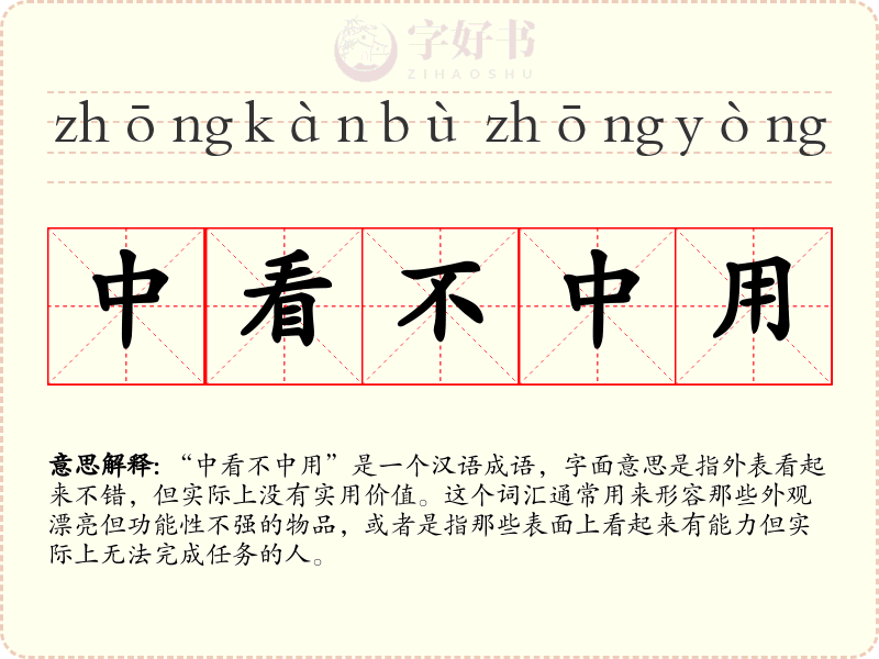 中看不中用