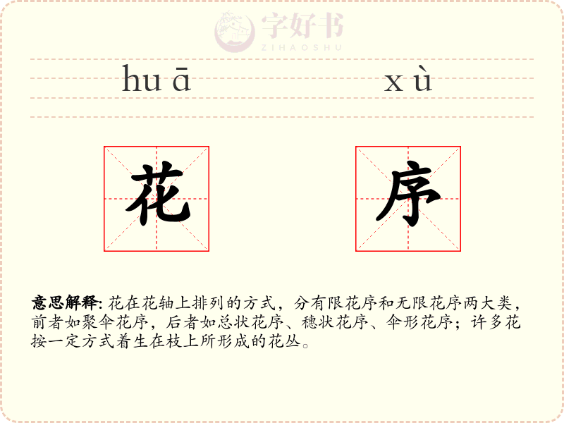 花序