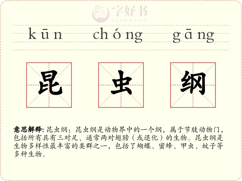 昆虫纲