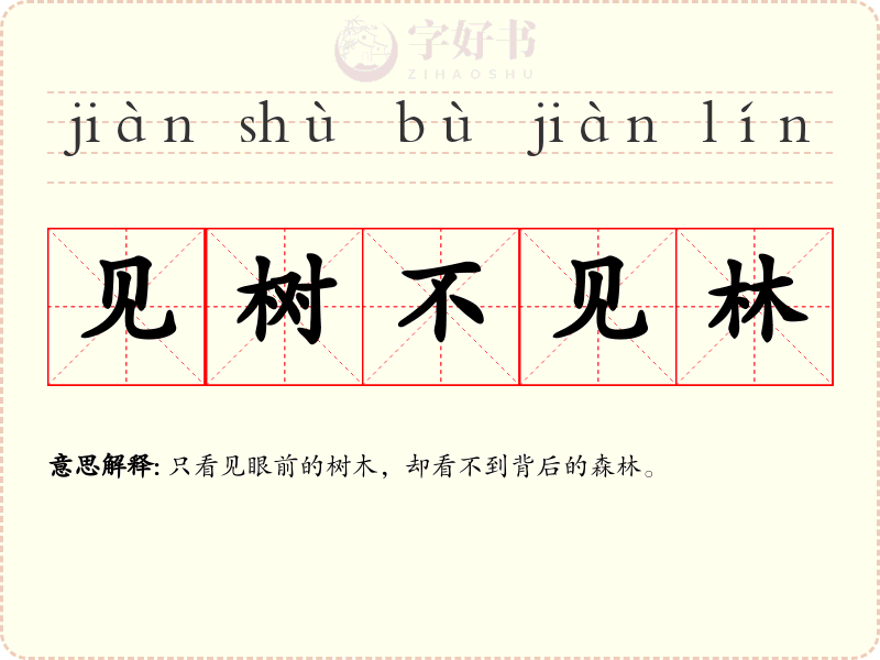 见树不见林