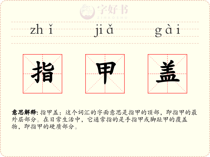 指甲盖