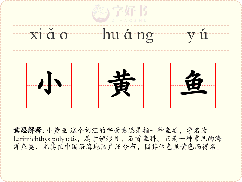 小黄鱼