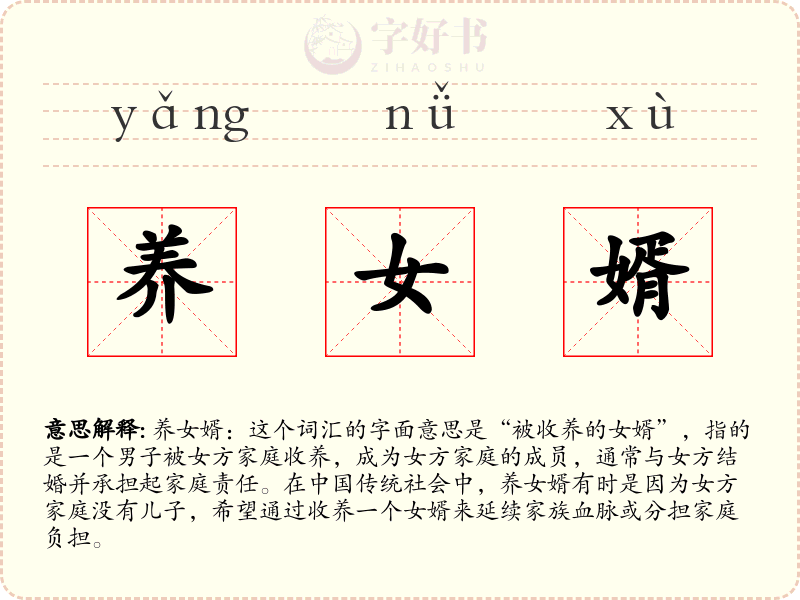养女婿