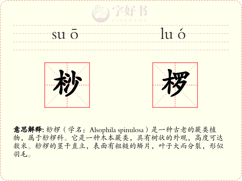 桫椤