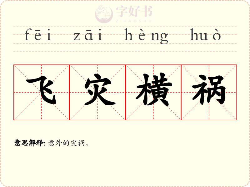 飞灾横祸