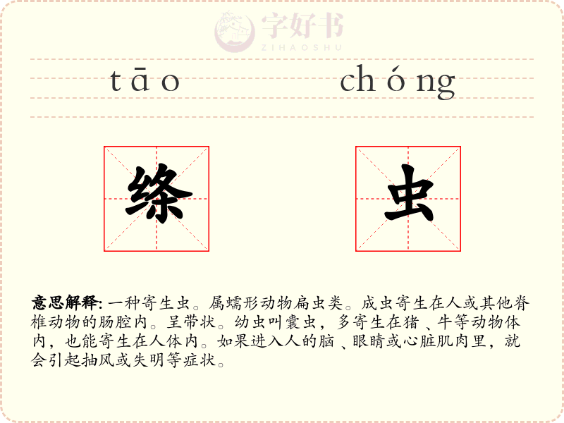 绦虫