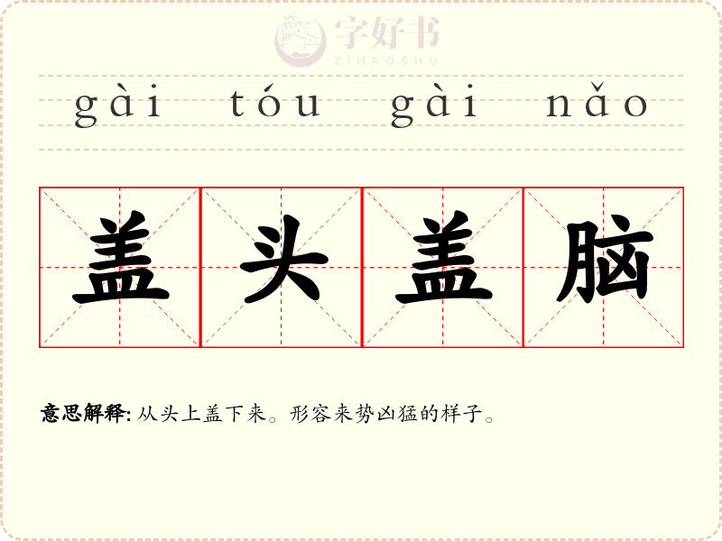 盖头盖脑