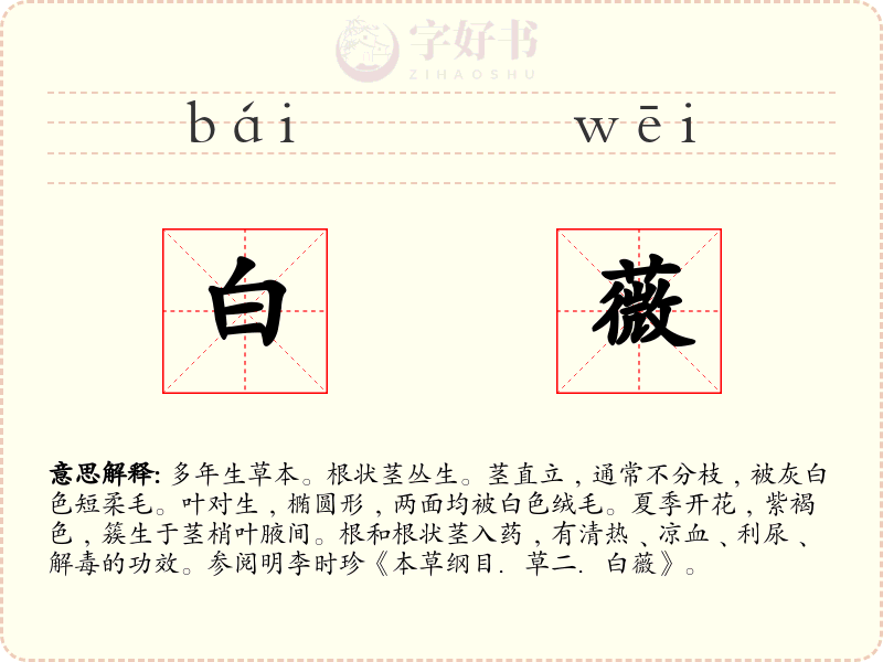 白薇
