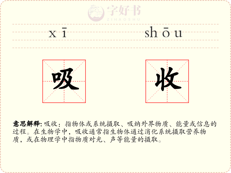 吸收